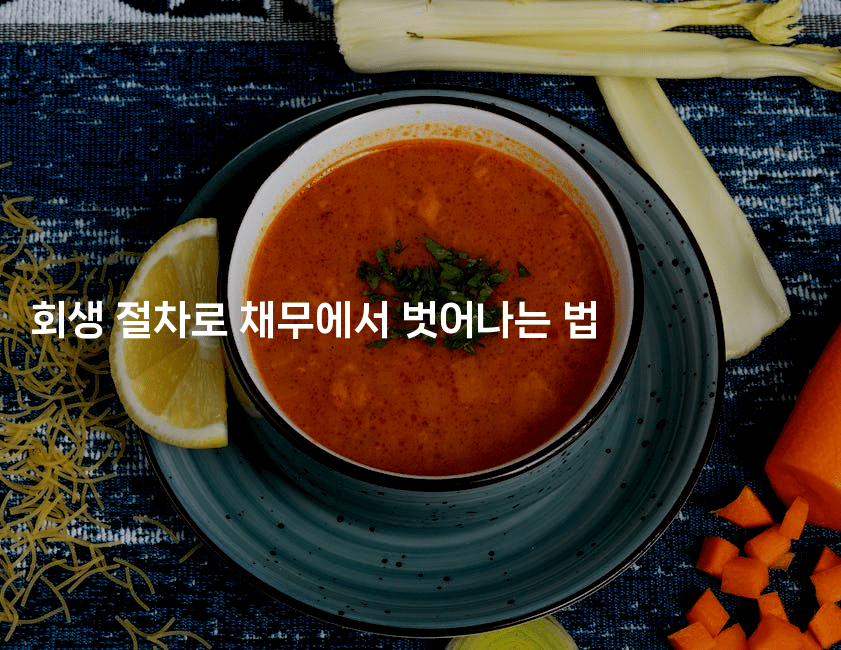 회생 절차로 채무에서 벗어나는 법-맛꾸루