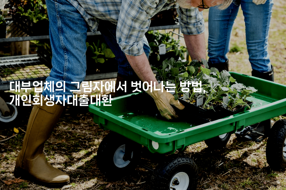 대부업체의 그림자에서 벗어나는 방법, 개인회생자대출대환