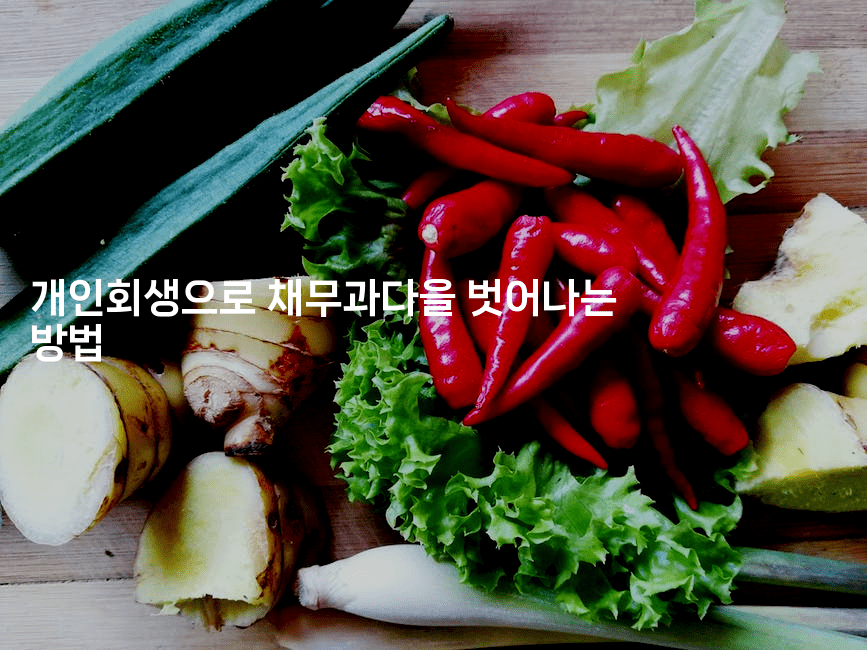 개인회생으로 채무과다을 벗어나는 방법-맛꾸루