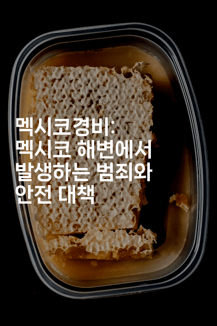 멕시코경비: 멕시코 해변에서 발생하는 범죄와 안전 대책2-맛꾸루