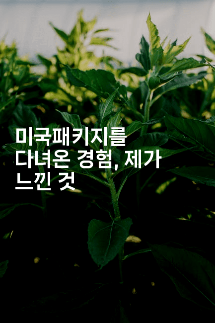 미국패키지를 다녀온 경험, 제가 느낀 것