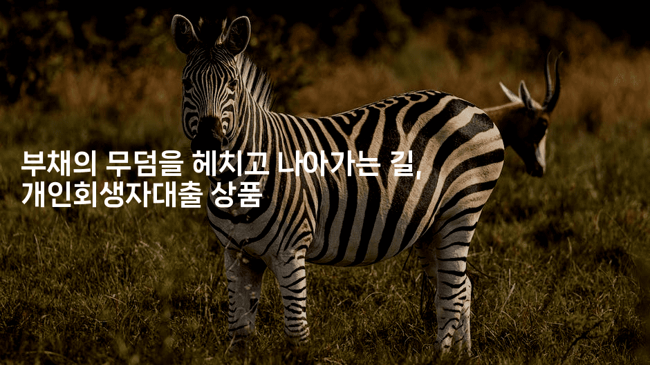 부채의 무덤을 헤치고 나아가는 길, 개인회생자대출 상품-맛꾸루