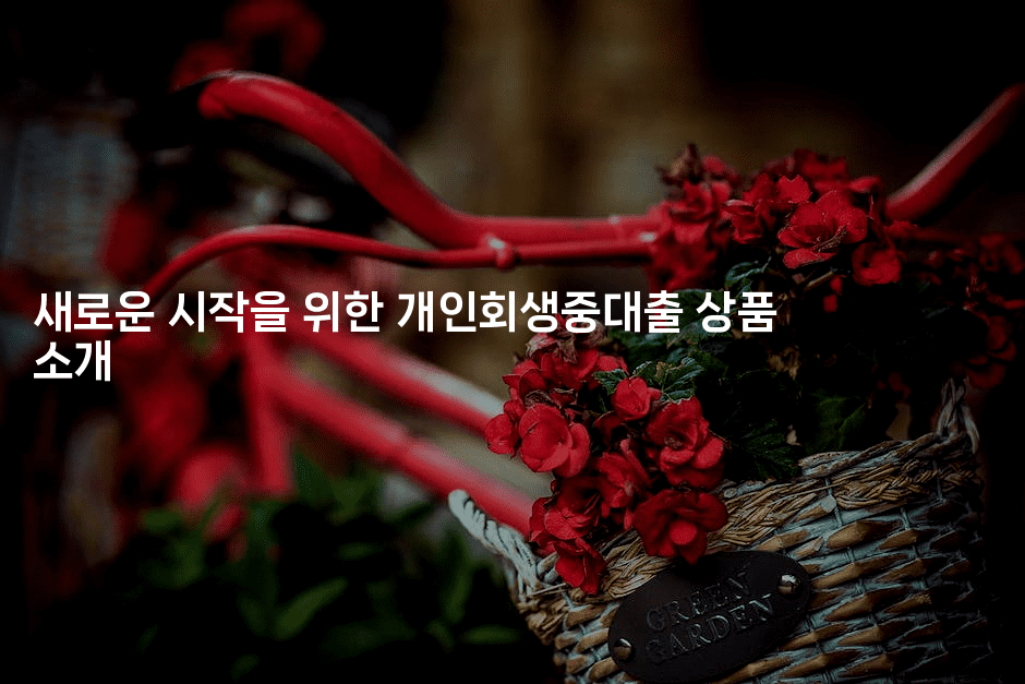 새로운 시작을 위한 개인회생중대출 상품 소개-맛꾸루