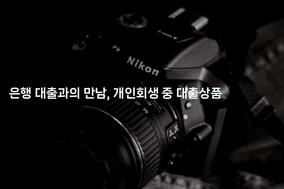 은행 대출과의 만남, 개인회생 중 대출상품-맛꾸루