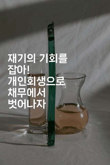 재기의 기회를 잡아! 개인회생으로 채무에서 벗어나자-맛꾸루