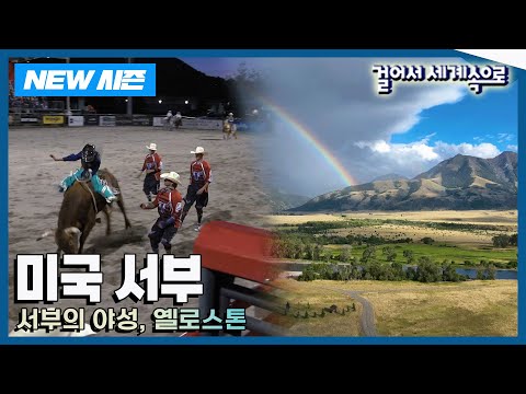 [✨NEW✨걸어서세계속으로?] 야성을 품은 광활한 자연 속 '미국 서부' 여행 Trip to United States of America (KBS 20240921)