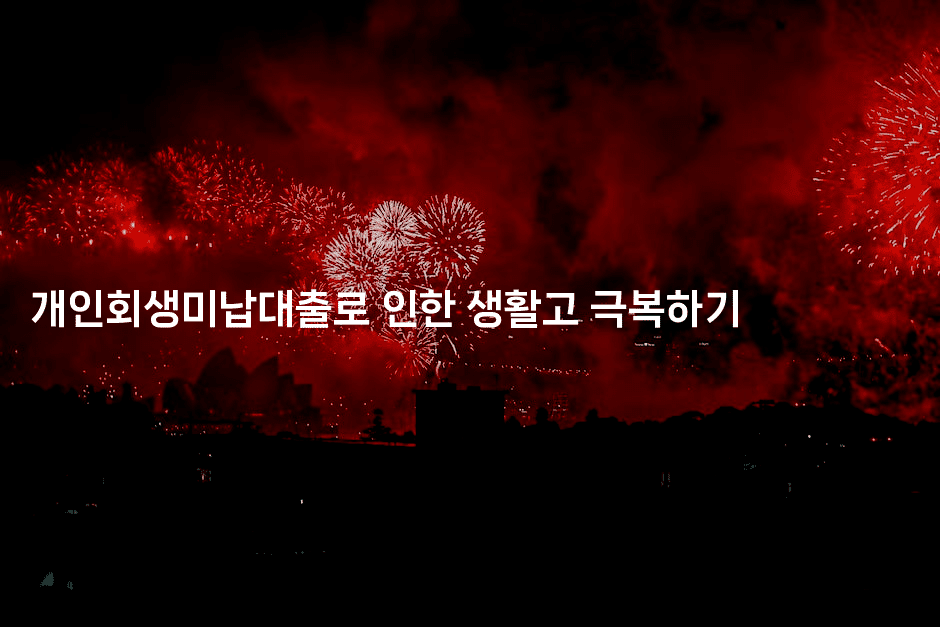 개인회생미납대출로 인한 생활고 극복하기-맛꾸루