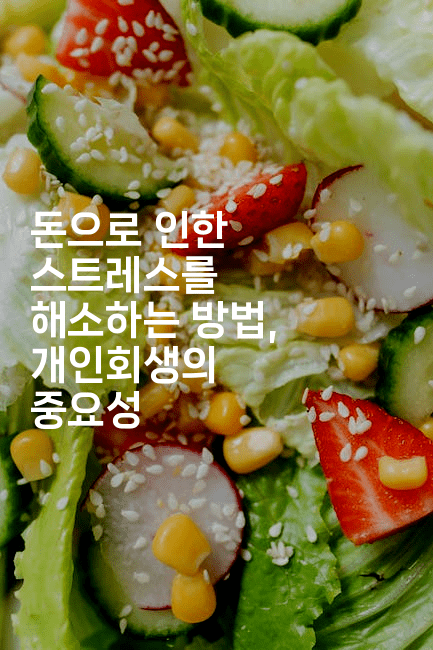 돈으로 인한 스트레스를 해소하는 방법, 개인회생의 중요성-맛꾸루