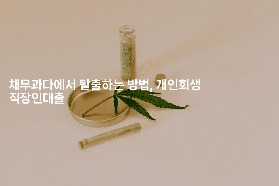 채무과다에서 탈출하는 방법, 개인회생 직장인대출-맛꾸루